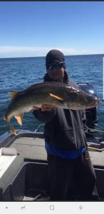 212836350_2310427699091636_5339244260037787677_n