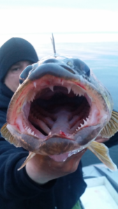 29920032_1931652277088208_798930197_n