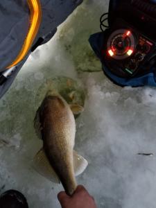 30120410_1931648193755283_1433614769_n