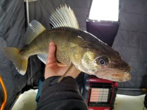 30122578_1931648723755230_1863508218_o