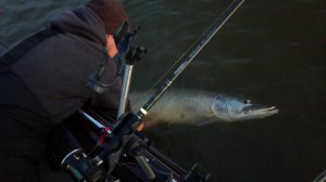 10255532_1526658934254468_2440201368368463456_o