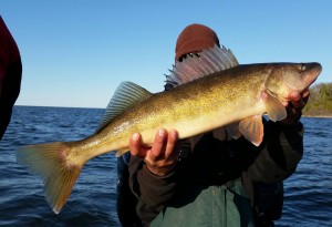 10256611_1591977894389238_1399167970585249845_o