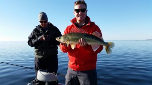 10953406_1587015784885449_5525059574631989293_o