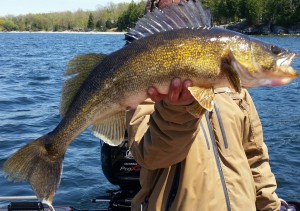 11011805_1600011493585878_776300329080281352_o