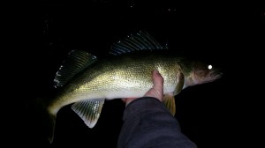 11029526_1574977596089268_5916673852729954844_o