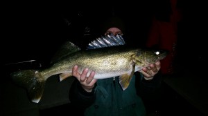 11043287_1576864829233878_7893550821955493264_o