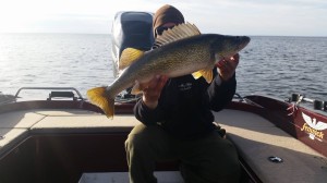 11136270_1594481477472213_4293824294568871792_o