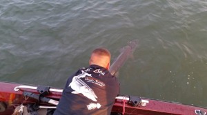 11999667_1636470433273317_3958188780003991345_o