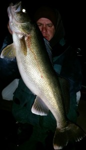 12417897 1700687106851649 1188130991278538491 n