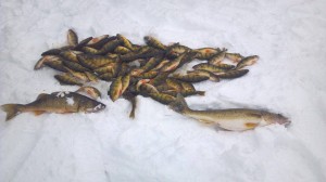 12632864_1588078851445554_1537864077_o