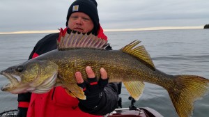 13076928 1709765725943787 4200672448400123062 n