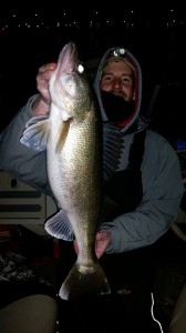 14282_1576019339318427_509908031510843446_n