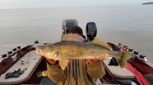 16935596 1754974418089329 995559543 o