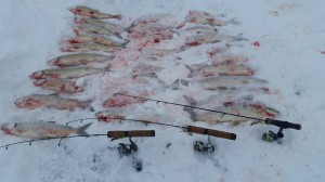 16935663 1754977781422326 1914231461 o