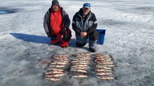 16935688 1754977738088997 1596263910 o