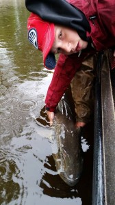 1795781_1603667716553589_6106114498059604133_n