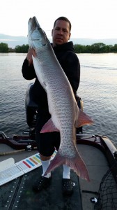 1908139_1601740553412972_2318202598096225547_n