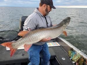 204193521 165178995602679 6785944269082147621 n1