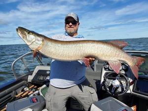 206521410 845876432697339 5828017322772684246 n